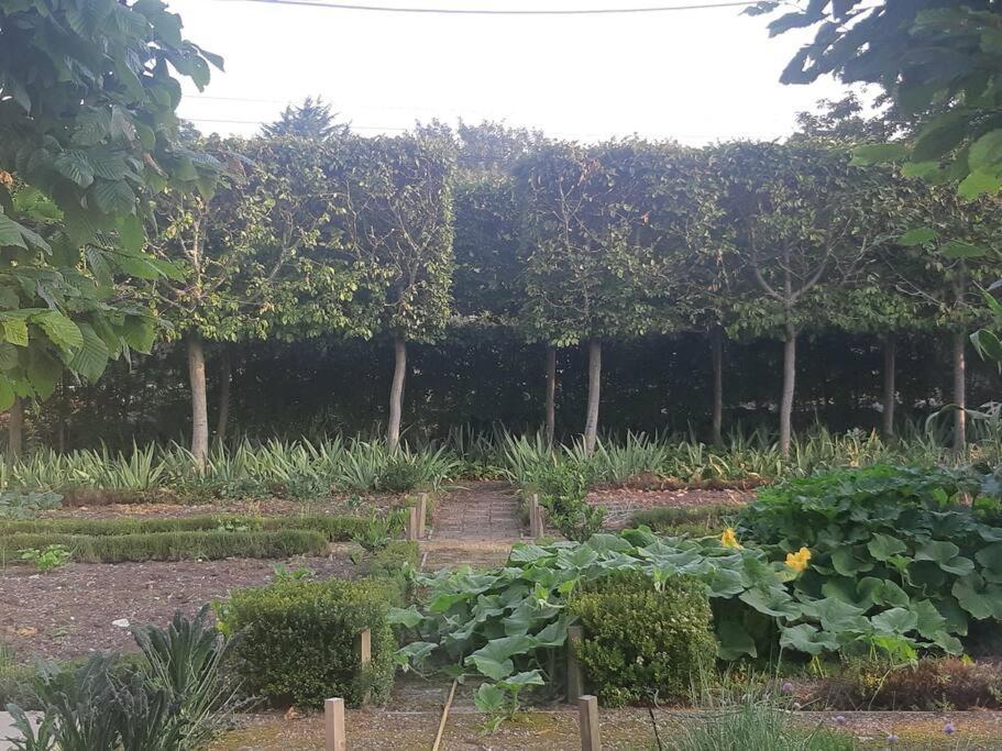 Doris Villa Wedmore Bagian luar foto