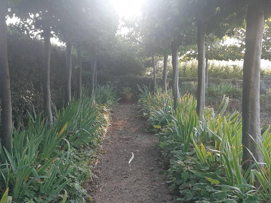Doris Villa Wedmore Bagian luar foto